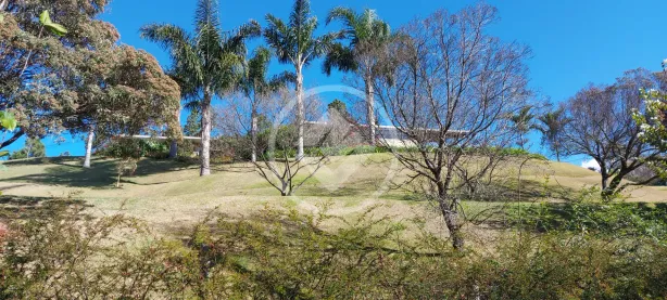 Lote/Terreno à venda, 3500m² no Pedro do Rio, Petrópolis