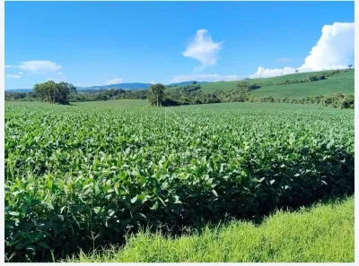Fazenda/Sítio com 1 Quarto à venda, 1m² no , Cândido de Abreu