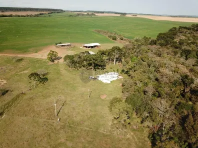 Fazenda/Sítio à venda, 3630000m² no , Palmas