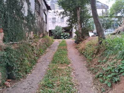 Lote/Terreno à venda, 520m² no Piqueri, São Paulo