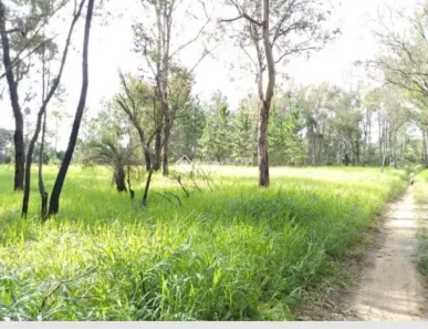 Lote/Terreno à venda, 490m² no Campo Novo, Porto Alegre