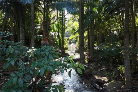 Lote/Terreno à venda, 17000m² no Itacorubi, Florianópolis