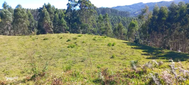 Lote/Terreno à venda, 45000m² no , Anitápolis