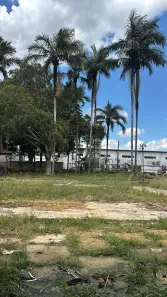 Lote/Terreno para alugar, 48000m² no Colônia Terra Nova, Manaus