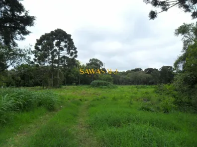 Lote/Terreno à venda, 49350m² no Roseira de São Sebastião, São José dos Pinhais