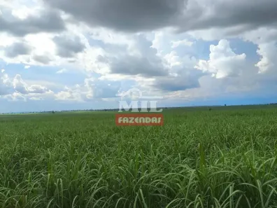 Fazenda/Sítio à venda, 500m² no , Caçu