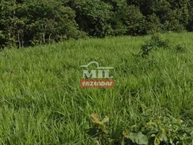 Fazenda/Sítio à venda, 522m² no , Niquelândia