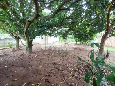 Fazenda/Sítio à venda, 1000m² no Morada Nova, Uberlândia
