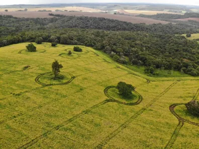 Fazenda/Sítio com 1 Quarto à venda, 10640000m² no Área Rural de Itapeva, Itapeva