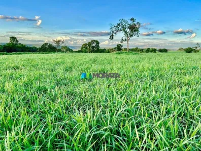 Fazenda/Sítio com 2 Quartos à venda, 193m² no , Campina Verde