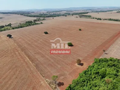 Fazenda/Sítio à venda, 1m² no , Palminópolis