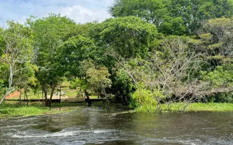 Fazenda/Sítio com 3 Quartos à venda, 3000m² no Puraquequara, Manaus
