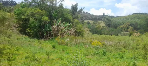 Fazenda/Sítio com 2 Quartos à venda, 72600m² no , Piracaia