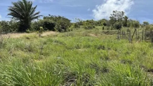 Lote/Terreno à venda, 2520m² no , Goiana