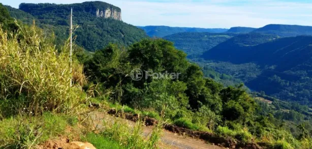 Fazenda/Sítio à venda, 30000m² no Dos Boêmios, Nova Petrópolis