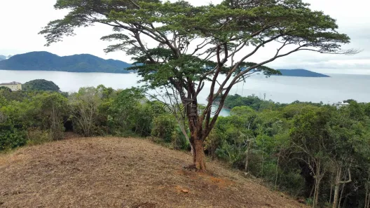 Lote/Terreno à venda, 4023m² no Caçandoca, Ubatuba