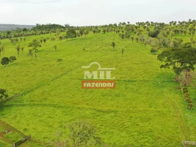 Fazenda/Sítio à venda, 20000m² no , Corumbá de Goiás