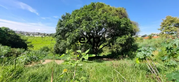 Lote/Terreno à venda, 1564m² no Feijão Miúdo, Contagem