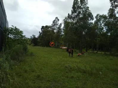 Lote/Terreno à venda, 10000m² no Fragata, Pelotas