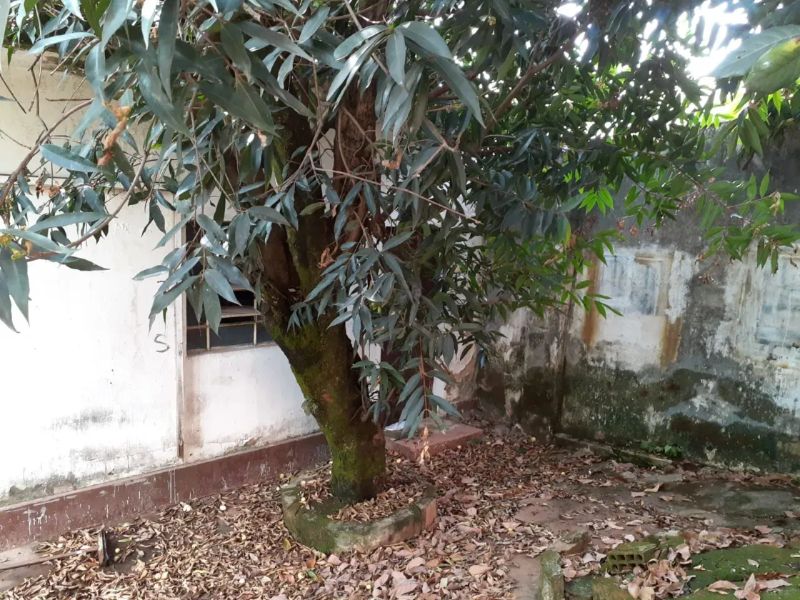 Foto 17