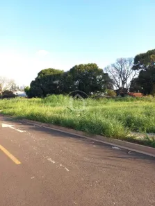 Lote/Terreno à venda, 5000m² no São Francisco, Campo Grande