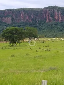 Fazenda/Sítio com 1 Quarto à venda, 100m² no zona rural, Rio Verde de Mato Grosso