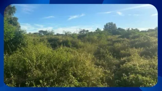Fazenda/Sítio com 1 Quarto à venda, 10m² no Centro, Governador Valadares