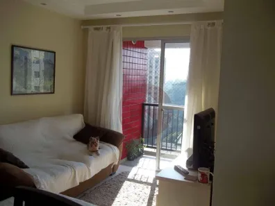 Apartamento com 3 Quartos para venda ou aluguel, 60m² no Vila Indiana, São Paulo