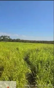 com 3 Quartos à venda, 450m² no , Nobres