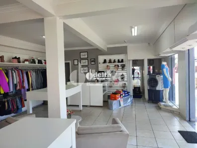 Casa com 4 Quartos à venda, 240m² no Santa Mônica, Uberlândia