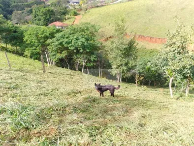 Lote/Terreno à venda, 2550m² no Rio Preto, Santo Antônio do Pinhal