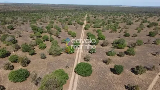 Fazenda/Sítio com 1 Quarto à venda, 72600000m² no , Porto Nacional