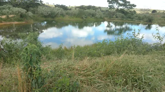 Lote/Terreno à venda, 20000m² no Zona Rural, Paraopeba