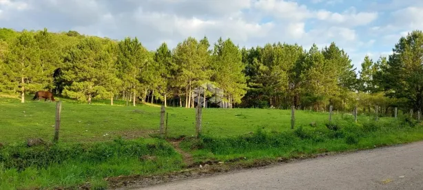 Lote/Terreno à venda, 21284m² no Parada Cristal, Caxias do Sul