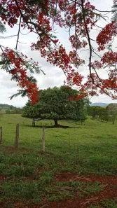 Fazenda/Sítio à venda, 40000m² no , Petrolina de Goiás