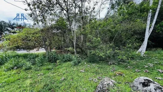 Lote/Terreno à venda, 471m² no Córrego Grande, Florianópolis