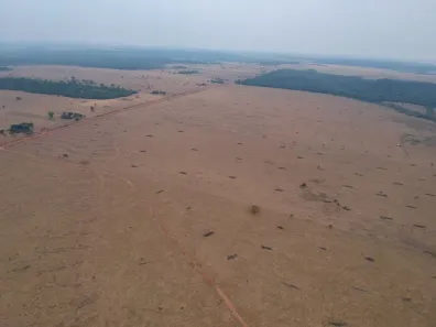 Fazenda/Sítio à venda, 41140000m² no Zona Rural, São Felipe D'Oeste