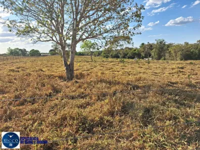 Fazenda/Sítio com 2 Quartos à venda, 416m² no Setor Central, Araguaçu