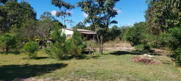 Fazenda/Sítio com 3 Quartos à venda, 20000m² no Brazlândia, Brasília