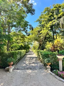 Fazenda/Sítio com 1 Quarto à venda, 80m² no Guarda do Cubatão, Palhoça