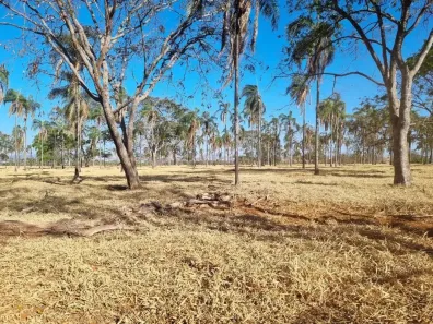 Fazenda/Sítio com 4 Quartos à venda, 2420000m² no Vila Santa Terezinha, Inhumas