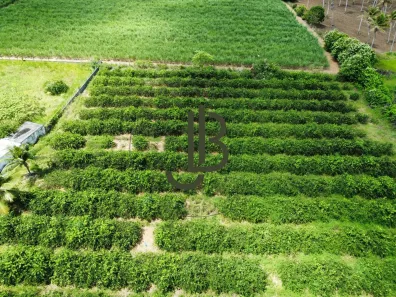 Fazenda/Sítio com 2 Quartos à venda, 100m² no Centro, Alhandra