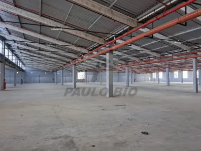 Galpão/Depósito/Armazém para alugar, 5911m² no Parque da Mooca, São Paulo