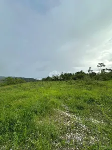 Lote/Terreno à venda, 29476m² no Santa Luzia, Porto Belo
