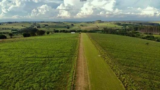 Fazenda/Sítio com 4 Quartos à venda, 500m² no Área Rural de Marília, Marília