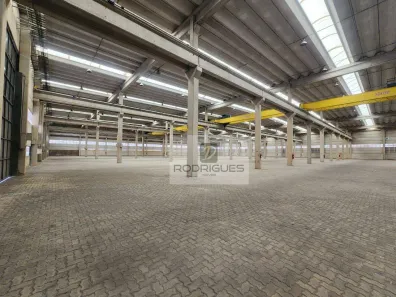 Galpão/Depósito/Armazém para alugar, 5000m² no Vila Alpina, São Paulo