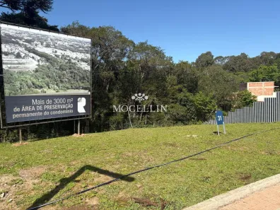 Lote/Terreno à venda, 302m² no Santa Felicidade, Curitiba