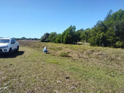 Lote/Terreno à venda, 193600m² no , São João da Barra