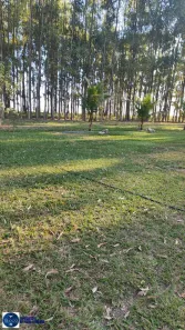 Fazenda/Sítio com 4 Quartos à venda, 93m² no Centro, Bom Jardim de Goiás