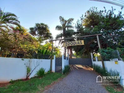 Fazenda/Sítio com 3 Quartos à venda, 306m² no Gleba Ribeirão Centenário, Maringá